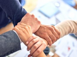 {{brizy_dc_image_alt entityId=